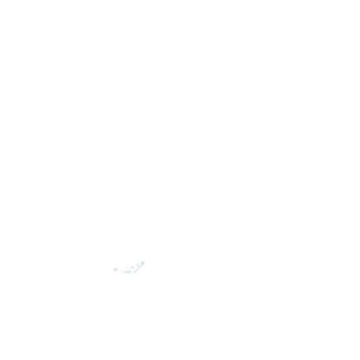 Arctic Wolf Networks logo